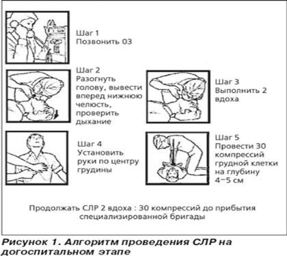 Жүрек-өкпе реанимациясы (ЖӨР):  алгоритм 2021